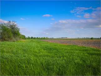 Property type:
Farms and Ranches
Parcel Size:
125 Acres
Price:
$437,500
MLS or other ID:
7738441
Hunting
